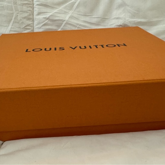 Authentic Louis Vuitton Duomo Hobo Used comes with box and dust bag - Picture 12 of 14